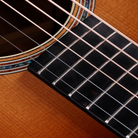 ドラゴンボール様【調整必要】Taylor 110e アコースティックギター TAYLOR 110SB | 男の羅生門 ‐ Guitar&Bike Life ‐ - 楽天ブログ